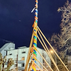 Narrenbaumstellen auf dem Gottmannplatz: Die Holzer aus Allensbach stellten den Baum routiniert.