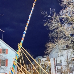 Narrenbaumstellen auf dem Gottmannplatz: Die Holzer aus Allensbach stellten den Baum routiniert.