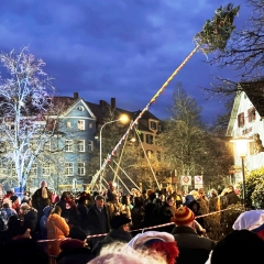 Narrenbaumstellen auf dem Gottmannplatz: Die Holzer aus Allensbach stellten den Baum routiniert.