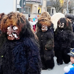 Narrenbaumstellen auf dem Gottmannplatz: Der Schneeschreck zog den Baum.
