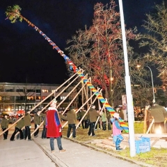 Narrenbaumstellen auf dem Gottmannplatz: Die Holzer aus Allensbach stellten den Baum routiniert.