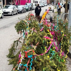 Narrenbaumstellen auf dem Gottmannplatz:  Der Baum lag für den Umzug parat.