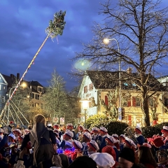 Narrenbaumstellen auf dem Gottmannplatz: Die Holzer aus Allensbach stellten den Baum routiniert.