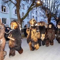 Narrenbaumstellen auf dem Gottmannplatz: Der Schneeschreck zog den Baum.