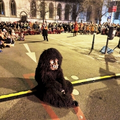Verbrennung auf dem Stefanplatz: Der Schneeschreck dachte bereits an die nächste Fasnacht.