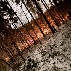 Schneeschreck-Erwachen in der Unikurve: Der Umzug läuft durch den Wald.