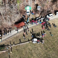 Narrenbaum holen in Hegne: Einen Blick von noch weiter oben.