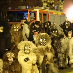 Verbrennung auf dem Stephansplatz: Der Schneeschreck war auf dem Platz versammelt.