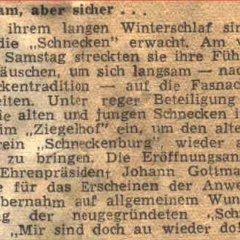 Langsam aber sicher... Zeitungsartikel vom 11.11.1949.