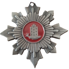 Orden Narrenverein 2008